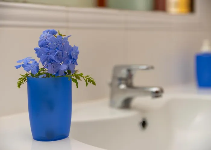 Nyaraló Del Pellicano